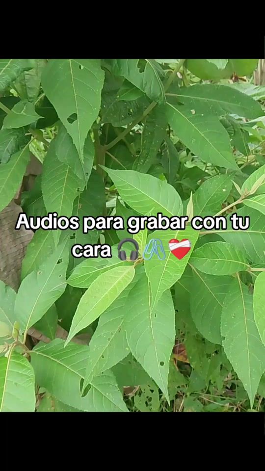 TikTok video thumbnail by nixon_s5