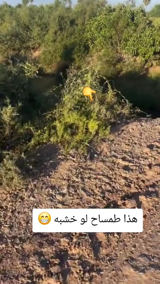 TikTok video thumbnail by 90bassam90