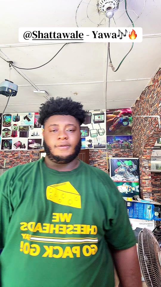 TikTok video thumbnail by coded_decarpo