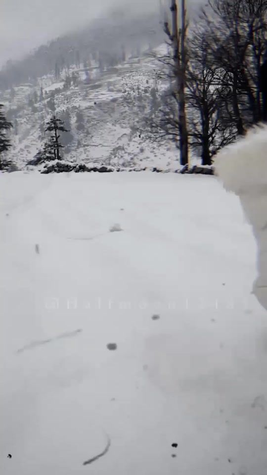 TikTok video thumbnail by user660216101194