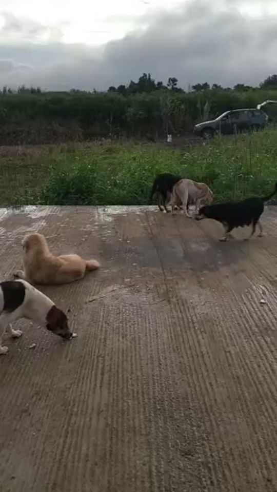 TikTok video thumbnail by davekissoondoyal