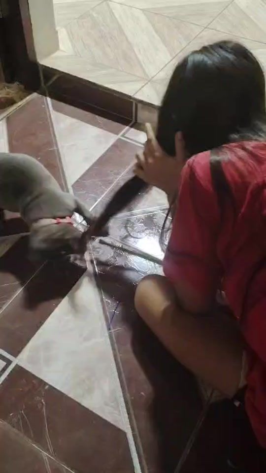 TikTok video thumbnail by sergiohurtado3