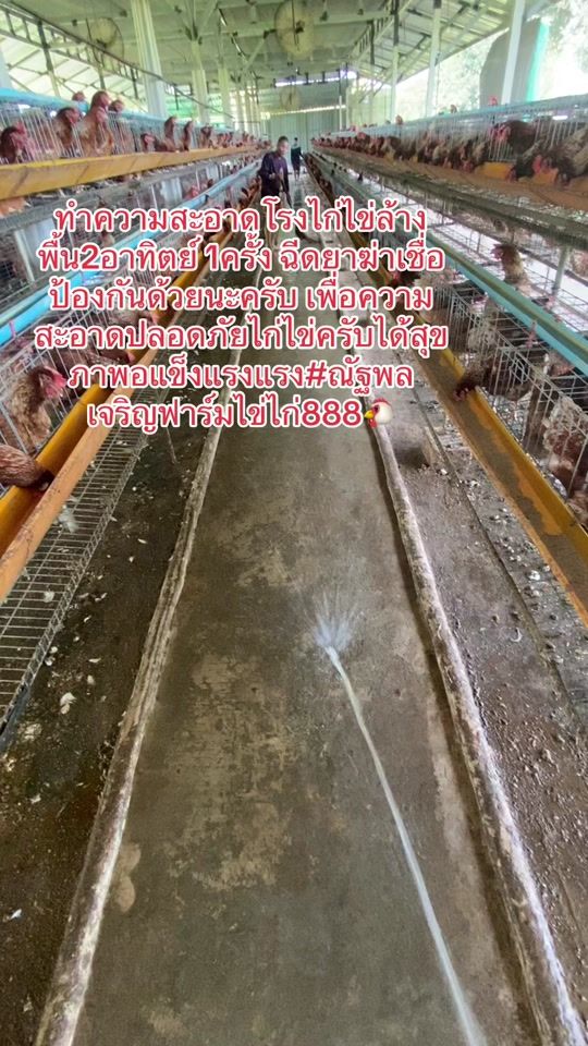 TikTok video thumbnail by chatchat72