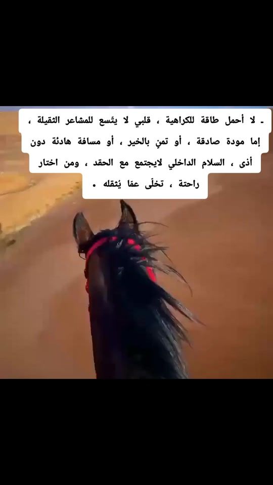 TikTok video thumbnail by thepoetoftheeast