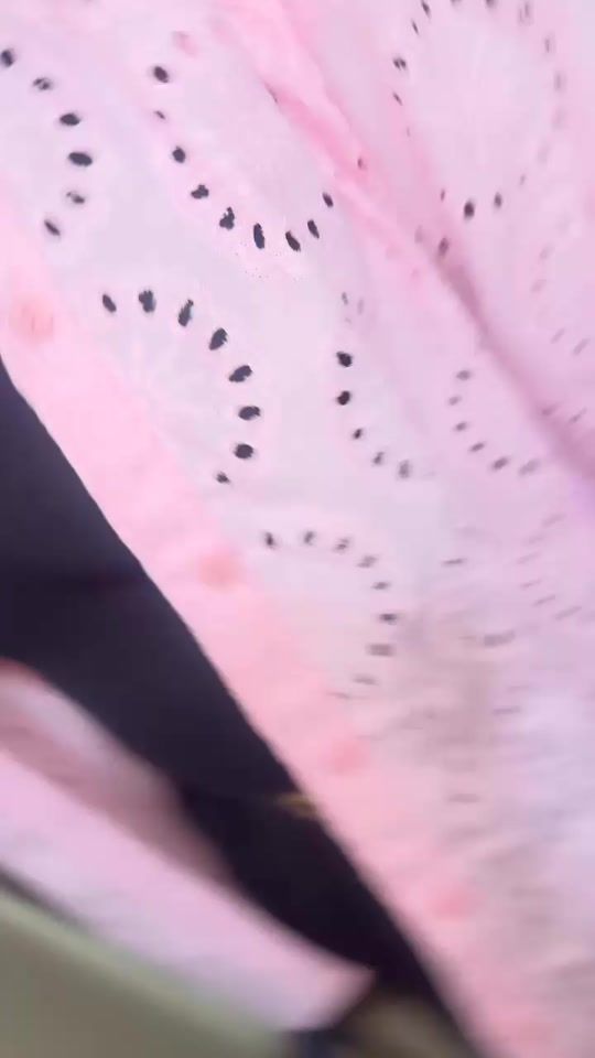 TikTok video thumbnail by bou_wkb