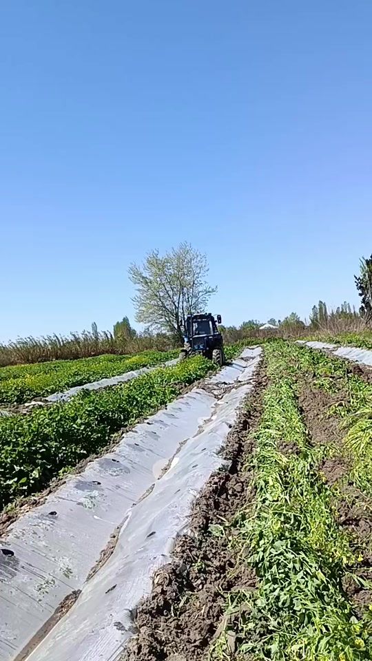 TikTok video thumbnail by elirza_892