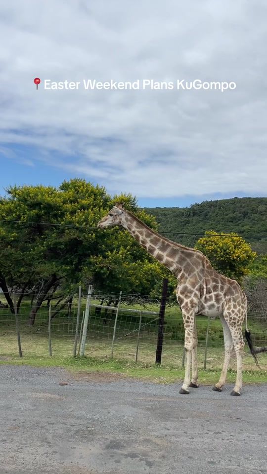 TikTok video thumbnail by eastern.cape.trav