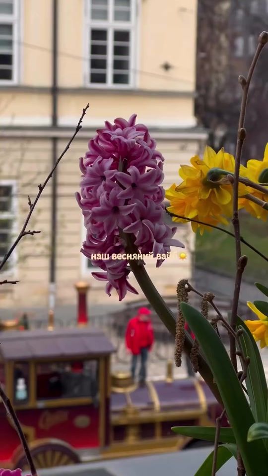TikTok video thumbnail by masonylviv