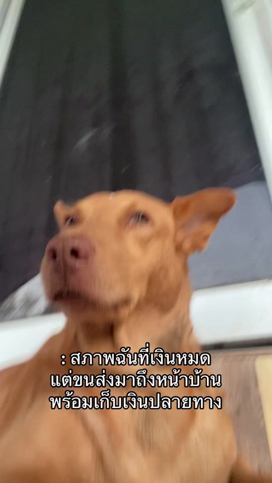 TikTok video thumbnail by pepsiii115