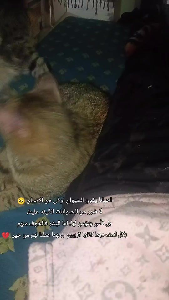 TikTok video thumbnail by 05restoration