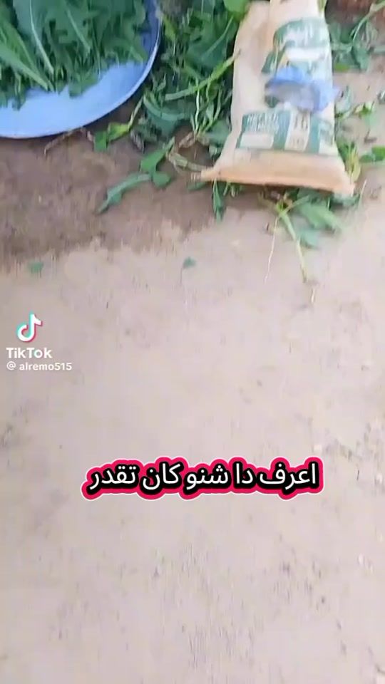 TikTok video thumbnail by naser.fth.alrhman