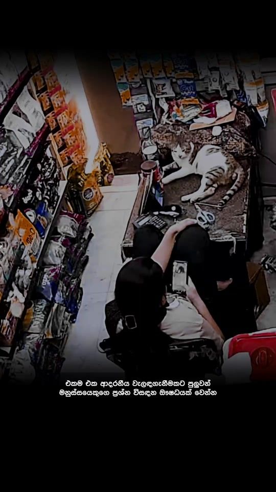 TikTok video thumbnail by bobby_page_