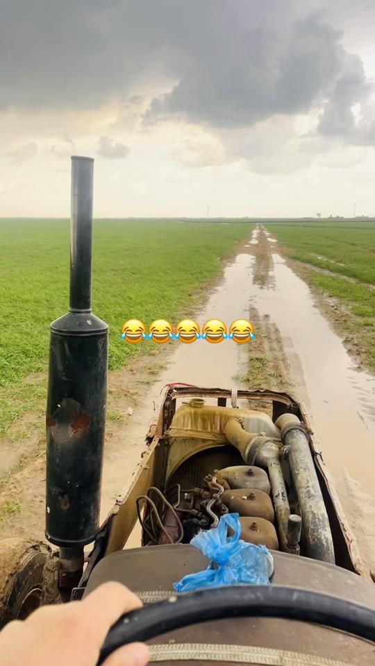 TikTok video thumbnail by o_hl1
