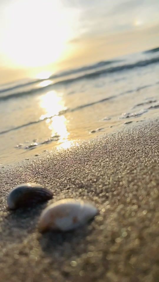 TikTok video thumbnail by hazemhazem76