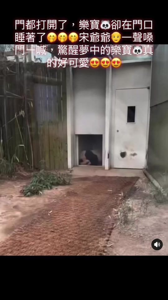 TikTok video thumbnail by emma_09055