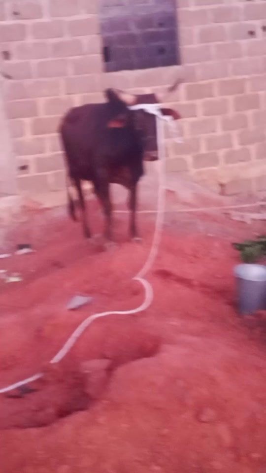 TikTok video thumbnail by user59240309972353