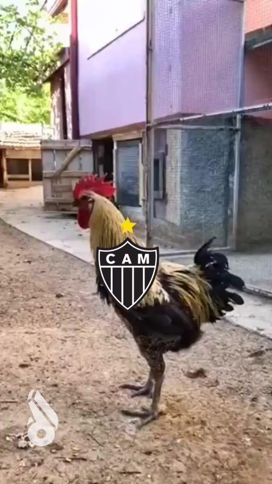 TikTok video thumbnail by desimpedidos
