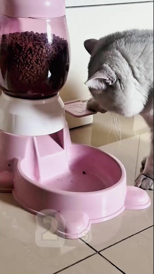 TikTok video thumbnail by importacionesruth1