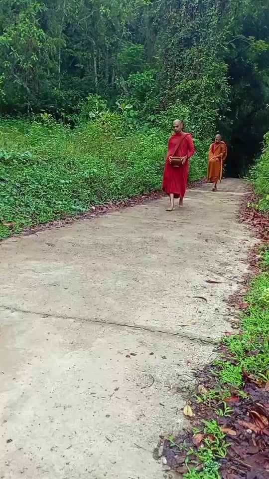 TikTok video thumbnail by buddhist016