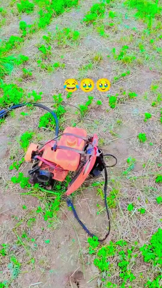 TikTok video thumbnail by user4977036134039