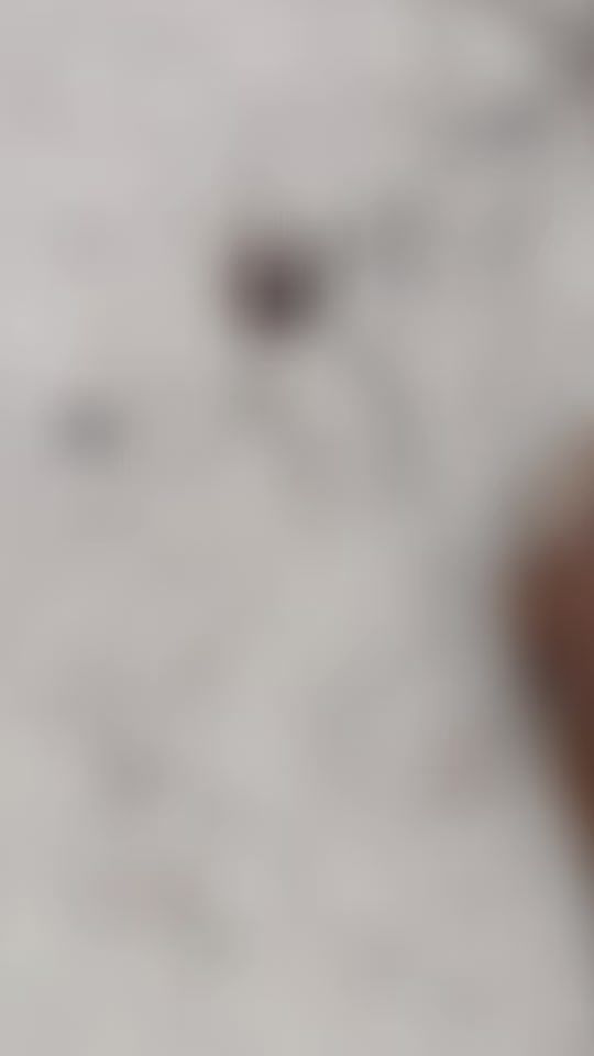 TikTok video thumbnail by _tashanie_