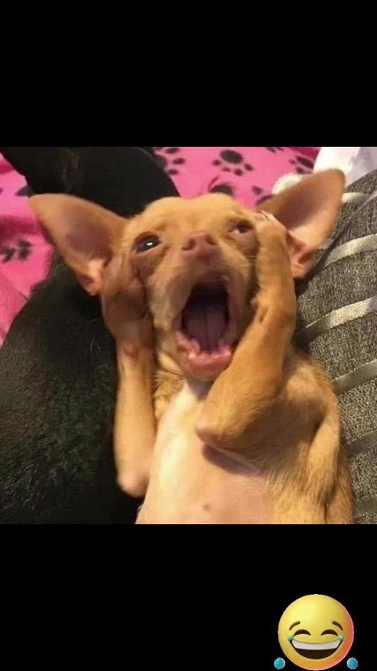 TikTok video thumbnail by user245princess