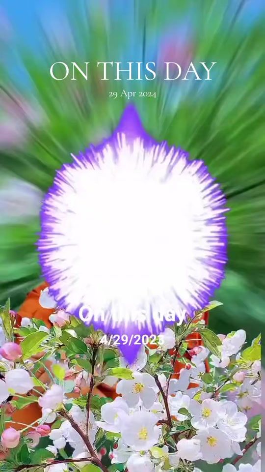 TikTok video thumbnail by mim246598