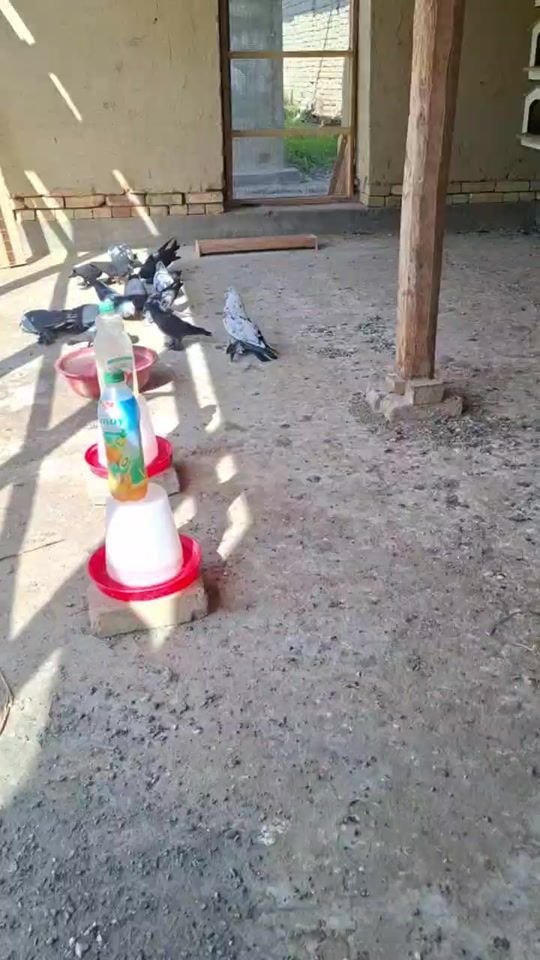 TikTok video thumbnail by ali_12_19_81