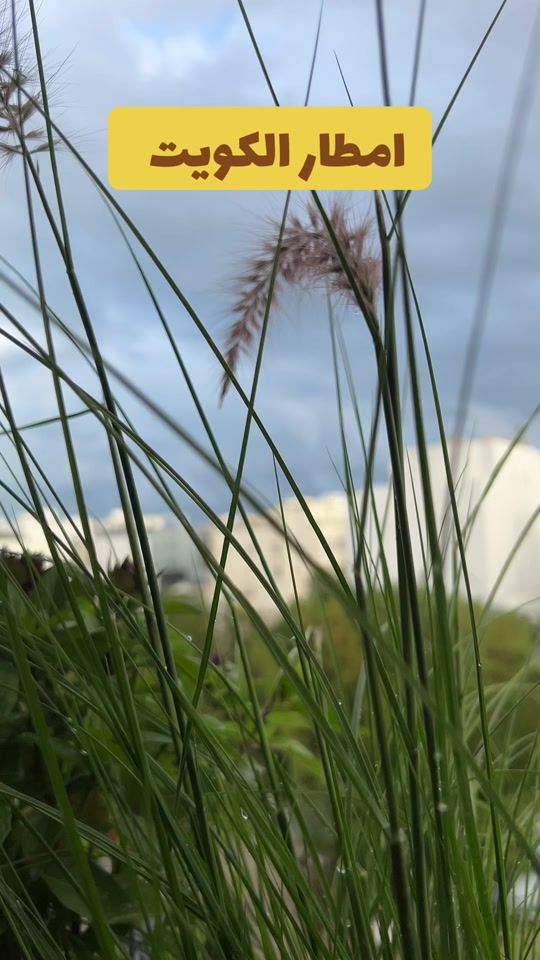 TikTok video thumbnail by snafya31