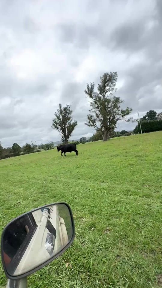 TikTok video thumbnail by ahfxck5