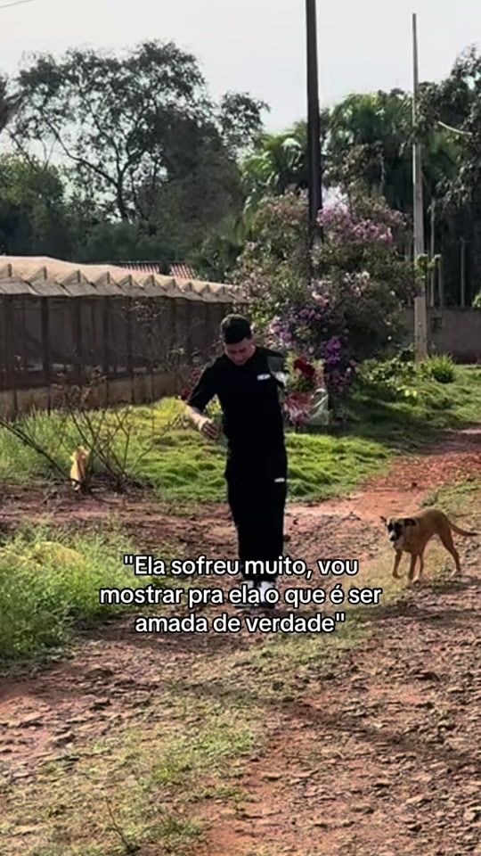 TikTok video thumbnail by matheusikawa