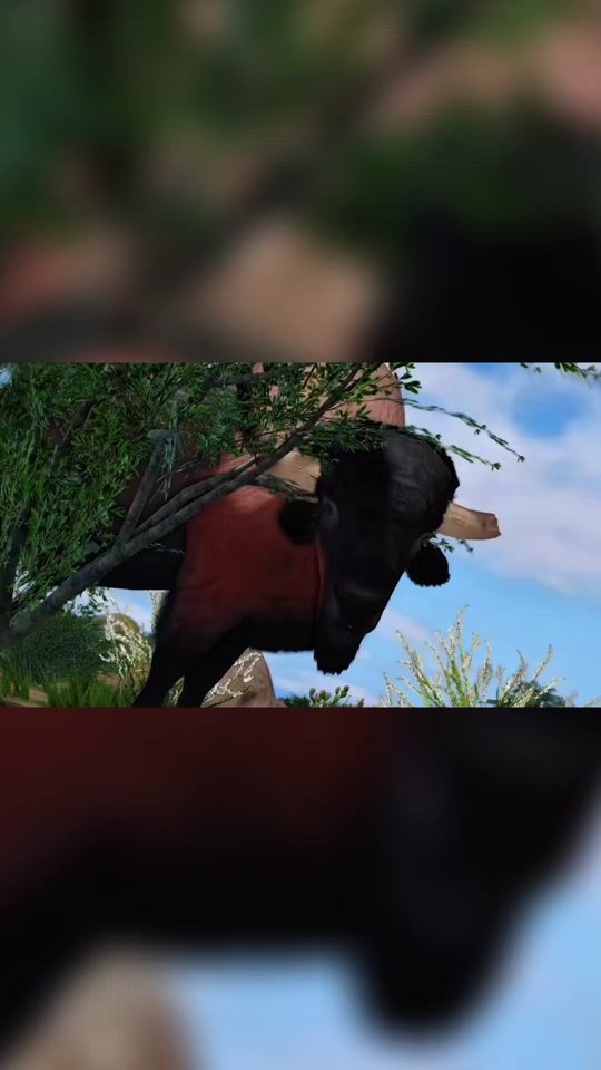 TikTok video thumbnail by primal.ecos