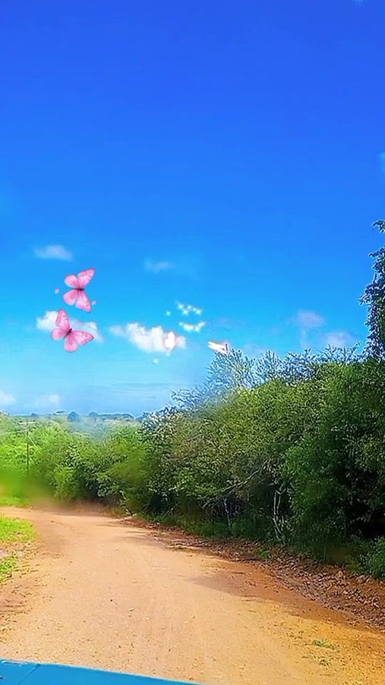 TikTok video thumbnail by sariana258