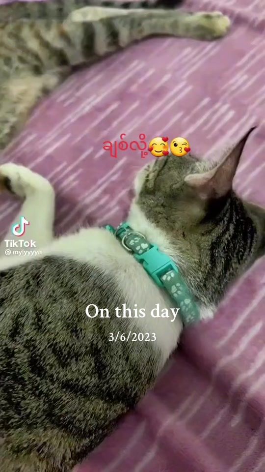 TikTok video thumbnail by mithethtay984