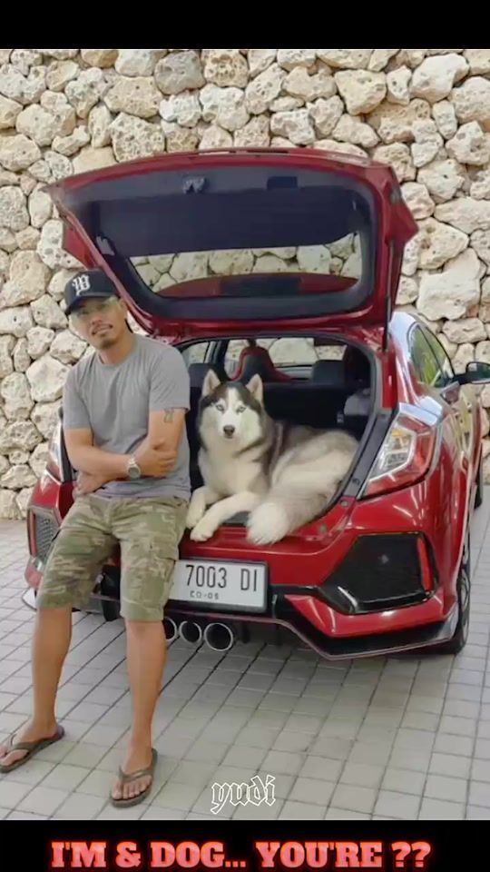 TikTok video thumbnail by 703dicool
