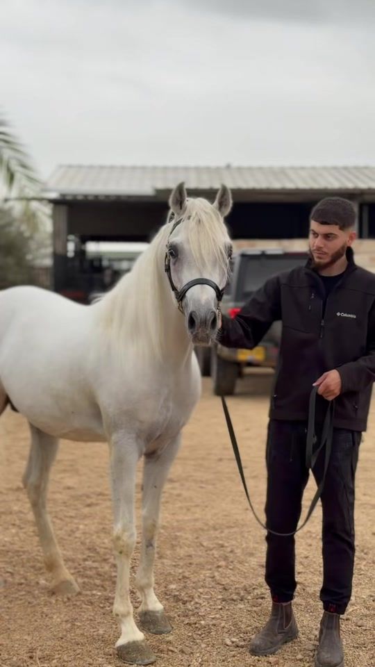 TikTok video thumbnail by abobassam51
