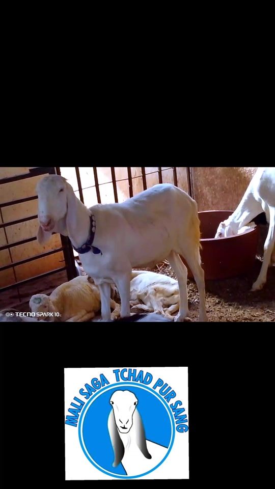 TikTok video thumbnail by user332532285920