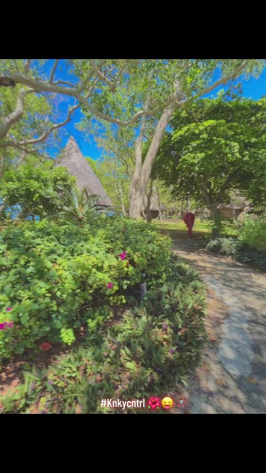 TikTok video thumbnail by _shay_wwlu_
