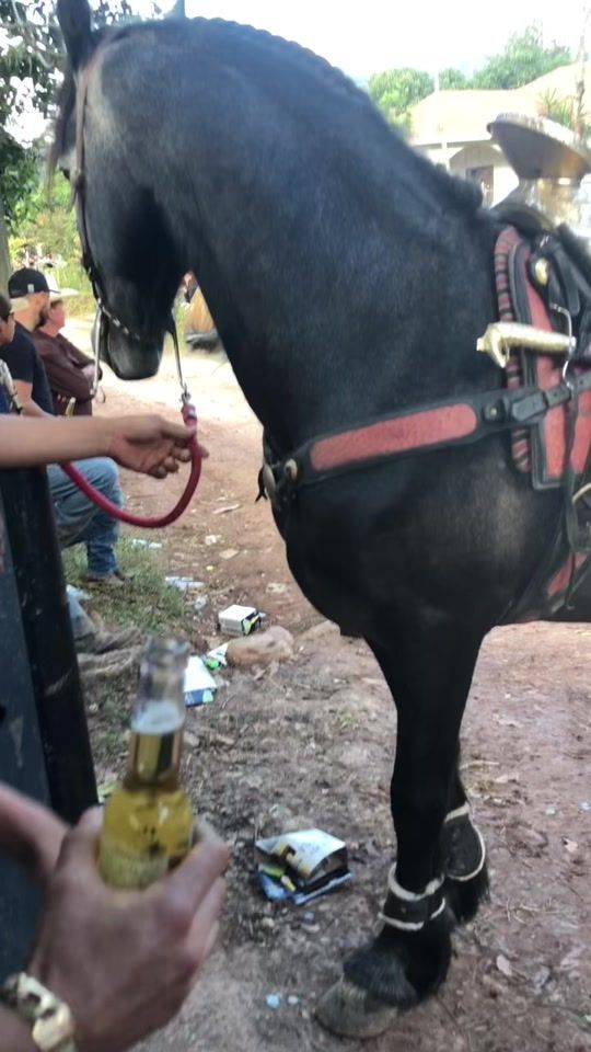 TikTok video thumbnail by cuadramurcia