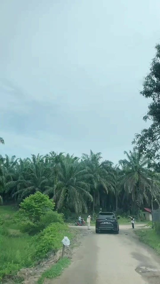 TikTok video thumbnail by faeila0709