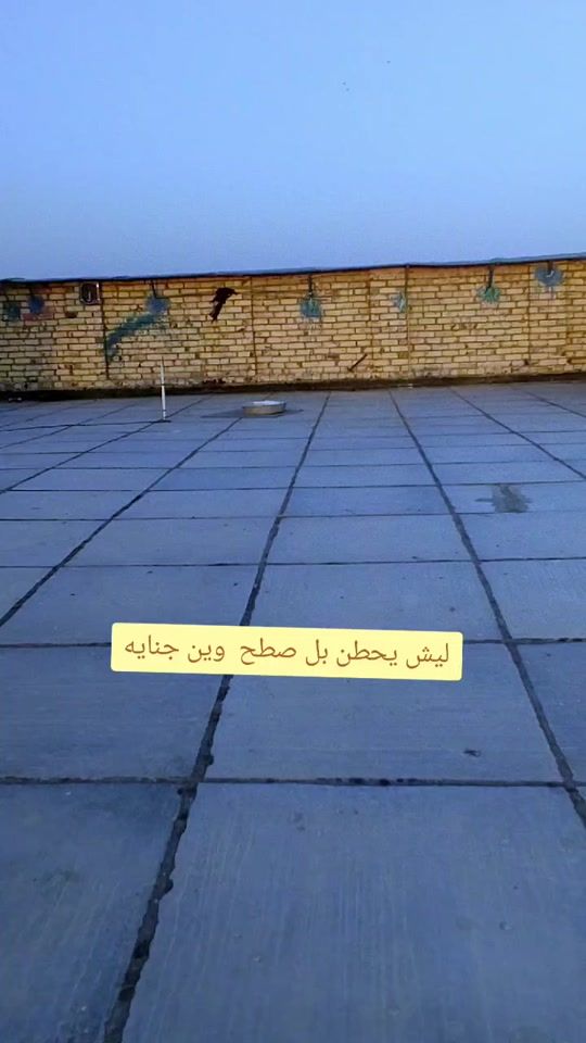 TikTok video thumbnail by user5822219001719