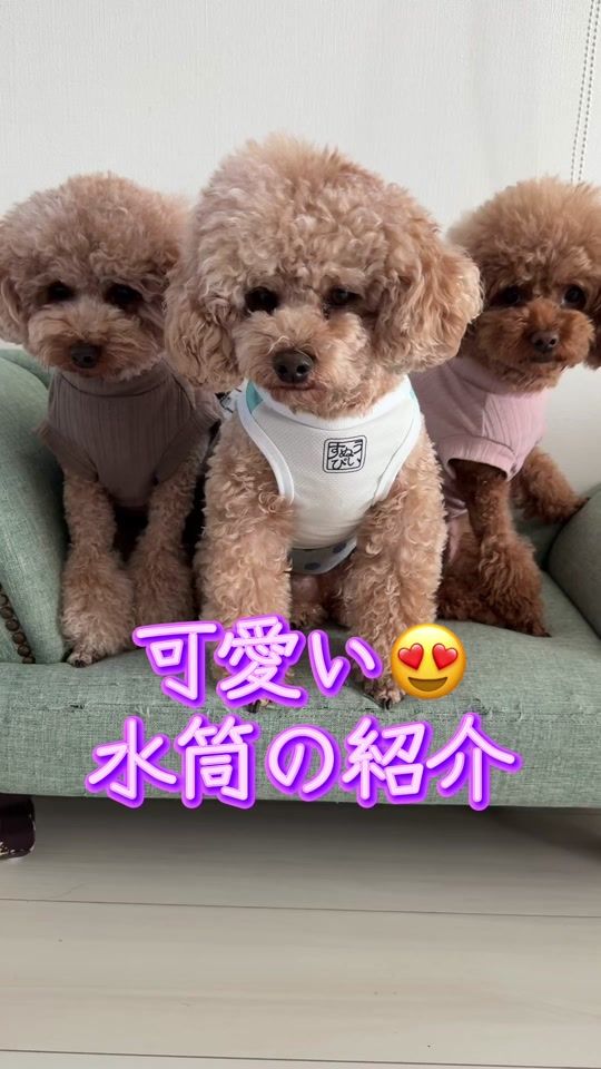 TikTok video thumbnail by kokonami745