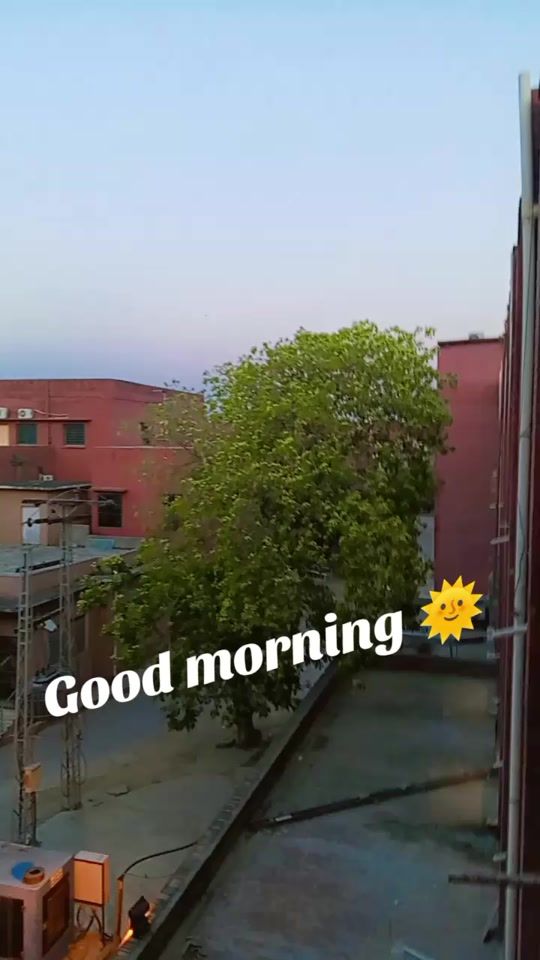 TikTok video thumbnail by sattibrand81