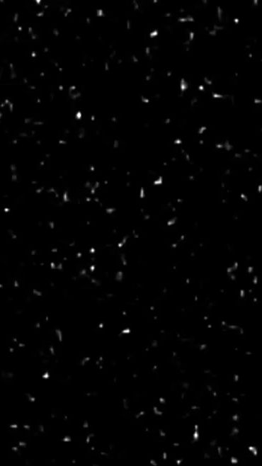 TikTok video thumbnail by lyrics8615