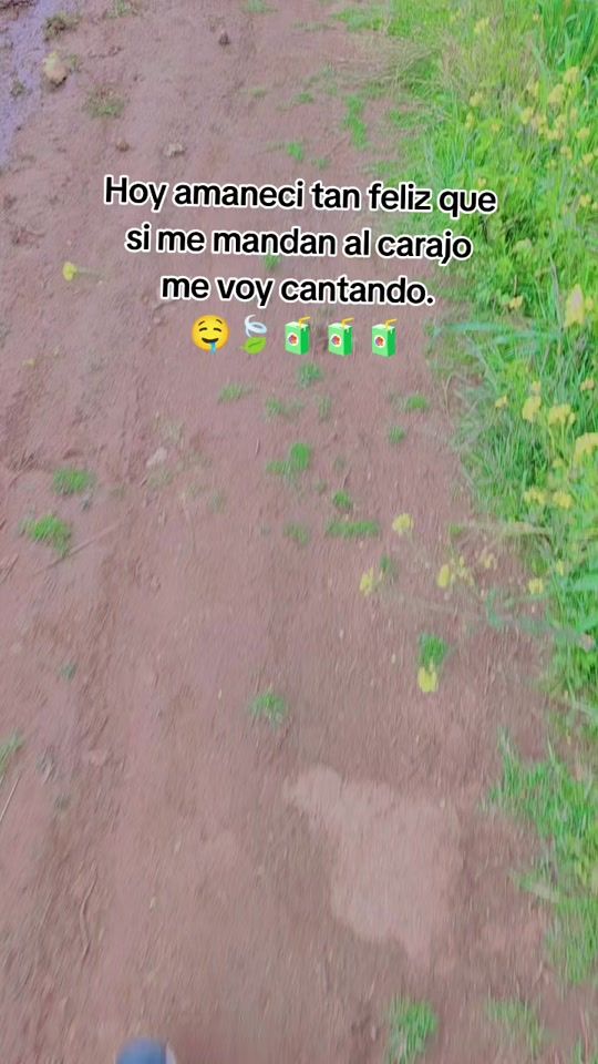 TikTok video thumbnail by mariela_ao