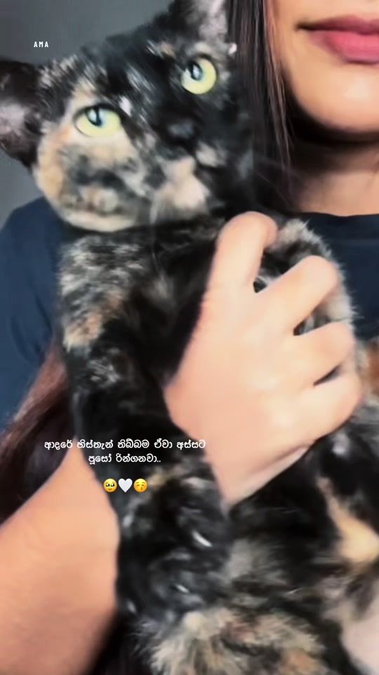 TikTok video thumbnail by tharu_hewage0