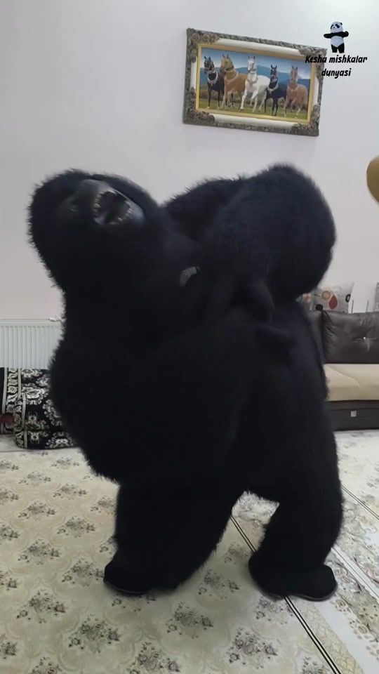 TikTok video thumbnail by keshavine