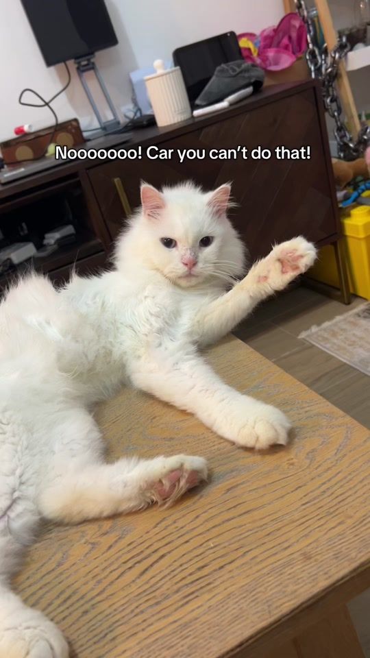 TikTok video thumbnail by ibrahiml.webp