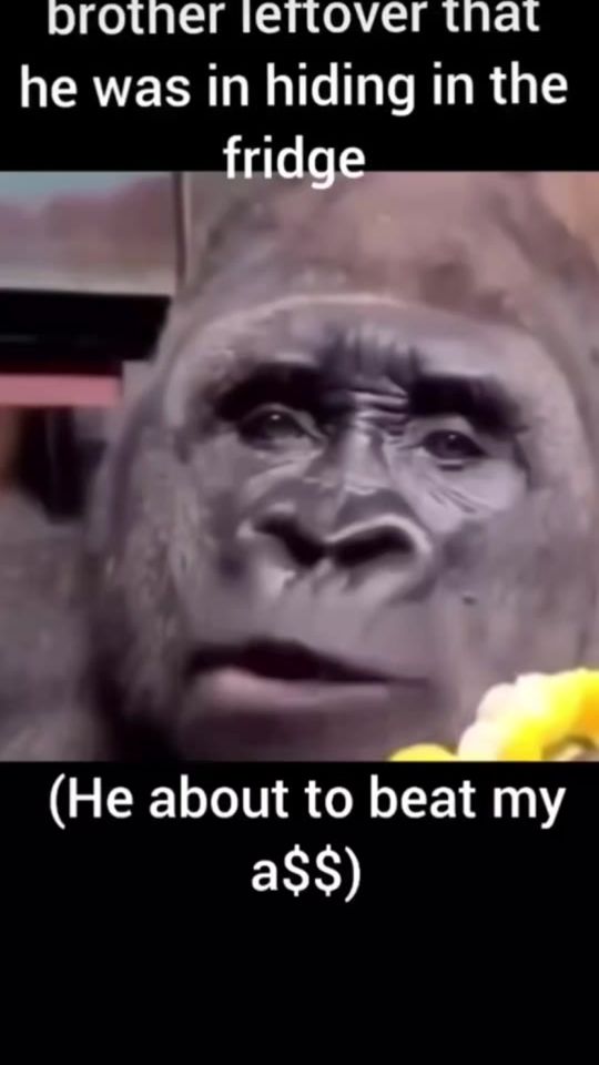 TikTok video thumbnail by memejr20