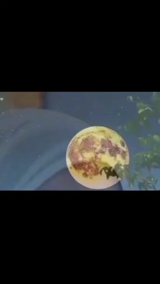 TikTok video thumbnail by __jelalkary_